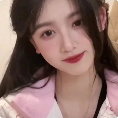 阿妮塔与加里波第